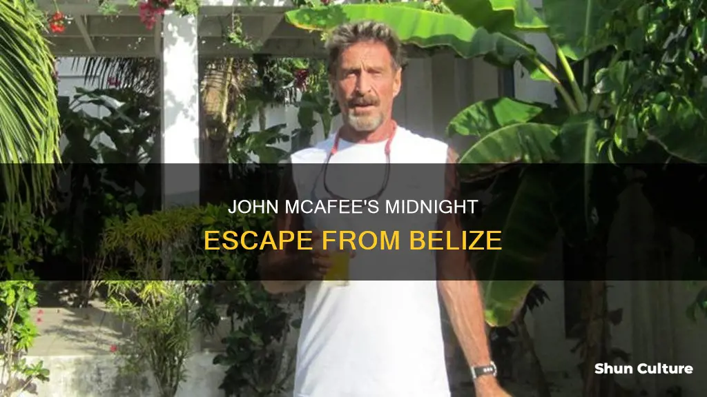 when dud john mcafee flee belize