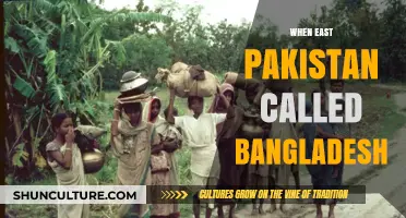 From East Pakistan to Bangladesh: A Journey of Independence and Identity