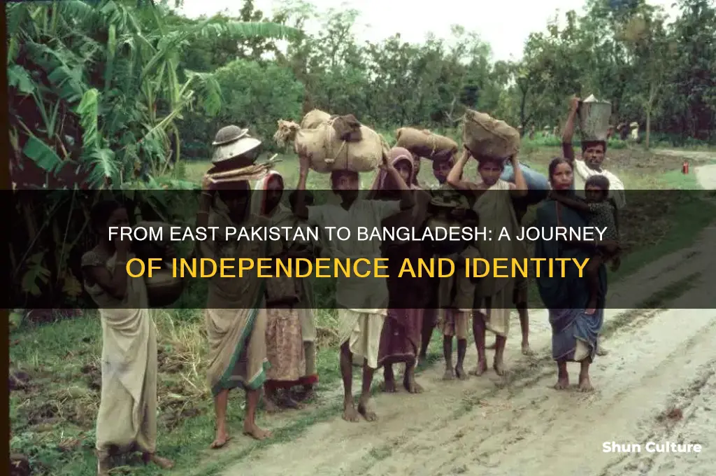 when east pakistan called bangladesh