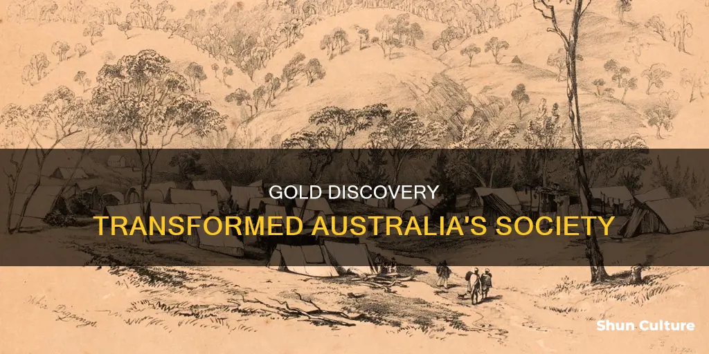when gold was discovered in australia our society changed