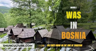 Reflections on My Unforgettable Journey Through Bosnia's Heart and Soul