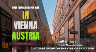 Morning Rush in Vienna: Navigating the Austrian Capital's Peak Hours