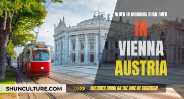 Rushing Through Vienna's Morning Commute