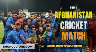 Cricket Match Anticipation: Afghanistan's Next Showdown