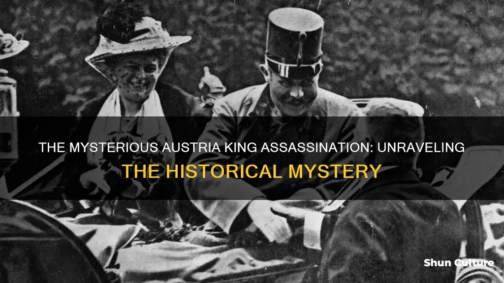 when is austria king assasination