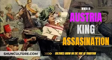 Austria's Royal Assassination: A Historical Mystery Unveiled
