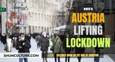 Austria's Post-Lockdown Plan: When Will Life Return to Normal?