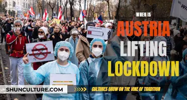 Austria's Lockdown: When Will It End?