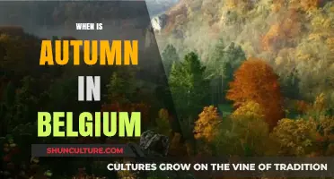 Embracing Autumn in Belgium: A Seasonal Guide