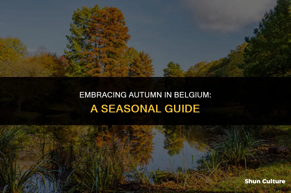 when is autumn in belgium