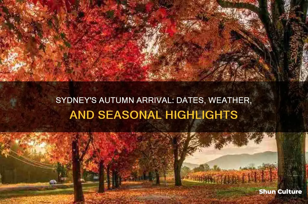 when is autumn in sydney australia