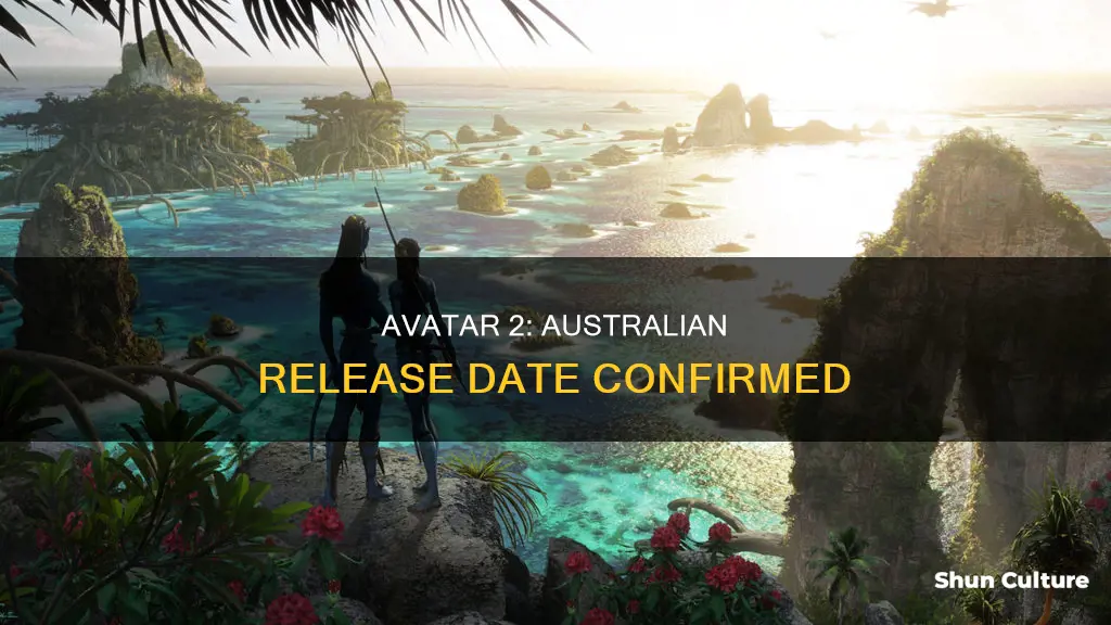 when is avatar 2 coming out in australia
