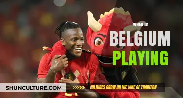 Belgium's Next Match: Stay Tuned for Exciting Updates!