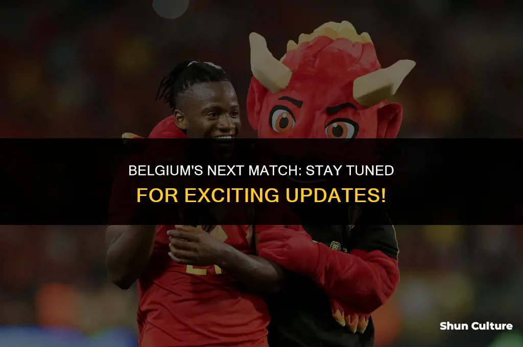 when is belgium playing
