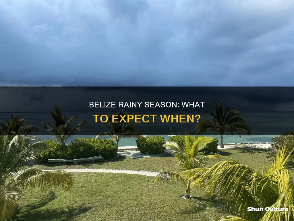 when is belize rainy season