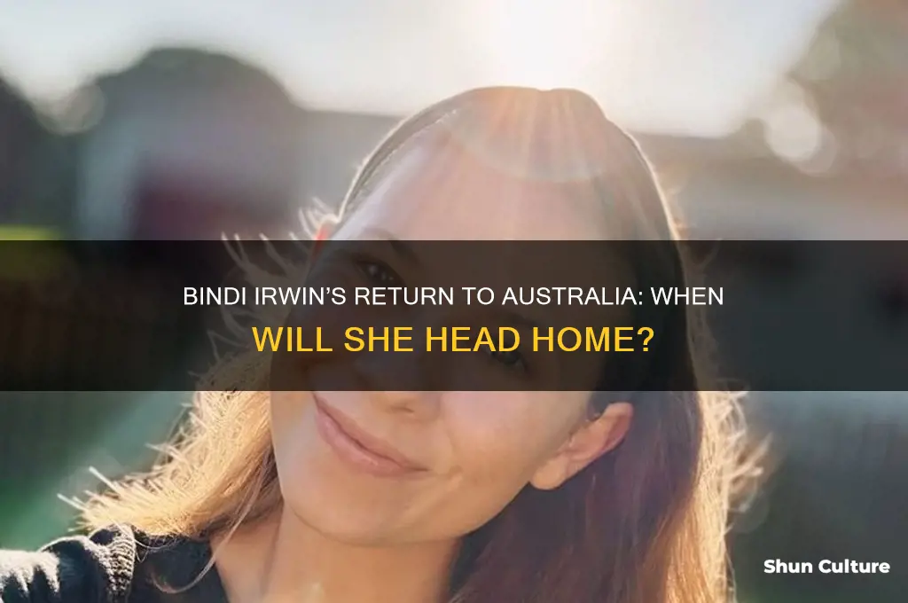 when is bindi going back to australia