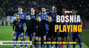 Bosnia's Upcoming Matches: Schedule, Fixtures, and Key Dates to Watch