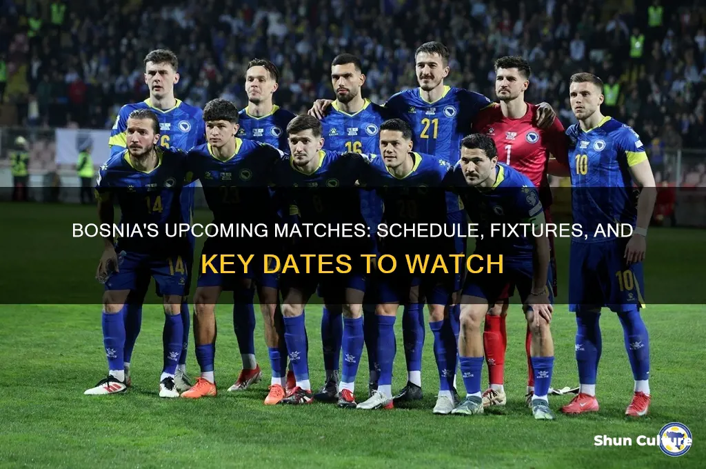 when is bosnia playing