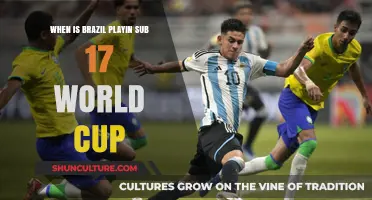 Brazil's Sub-17 World Cup Schedule: Dates and Match Details