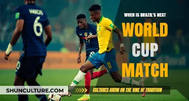 Brazil's Upcoming World Cup Match: Date, Time, and Opponent Revealed