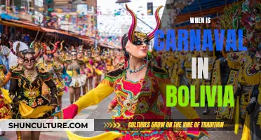 Bolivia's Carnaval: A Colorful Celebration in February