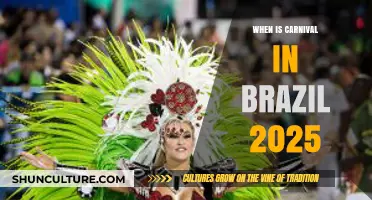 Brazil Carnival 2025 Dates: Plan Your Rio Adventure Now