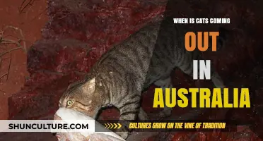 Cats' Australian Theatrical Release: Date and Details