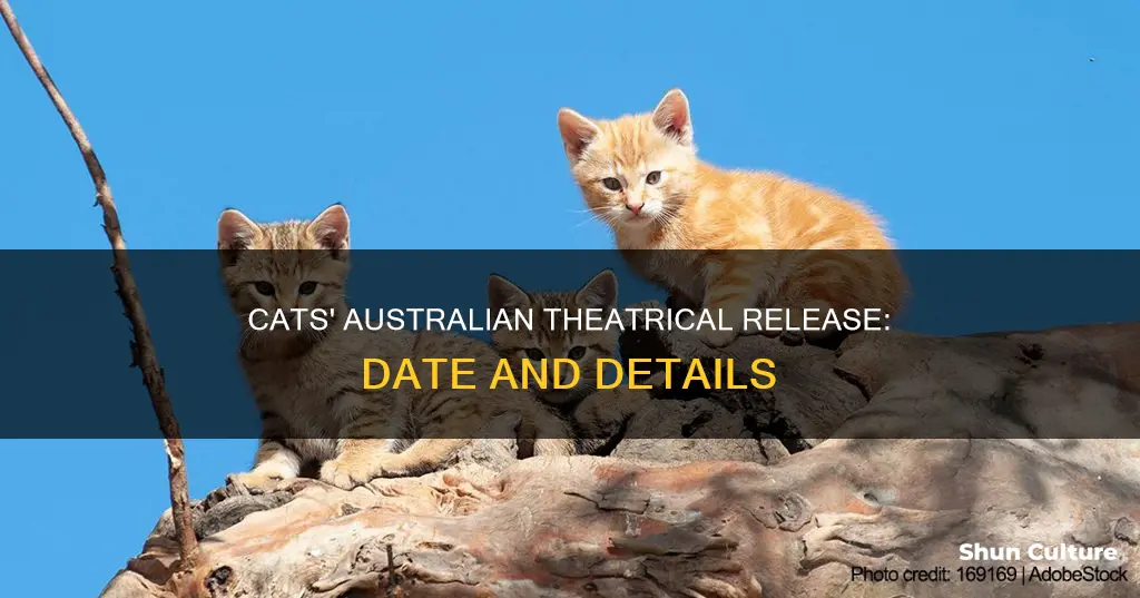 when is cats coming out in australia