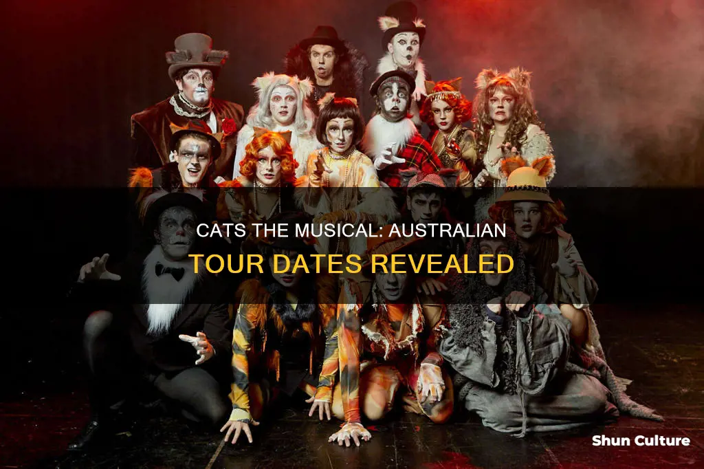 when is cats the musical coming to australia
