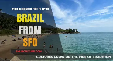 Cheapest Flights to Brazil from SFO: Best Time to Book