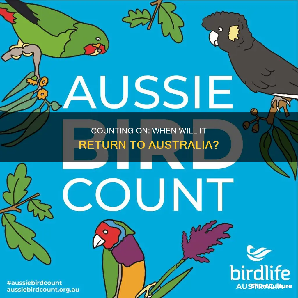 when is counting on coming back in australia