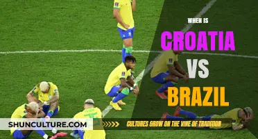 Croatia vs Brazil Match Date: When and Where to Watch