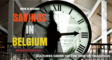 Spring Forward: Belgium's Daylight Saving Time 2024 Guide