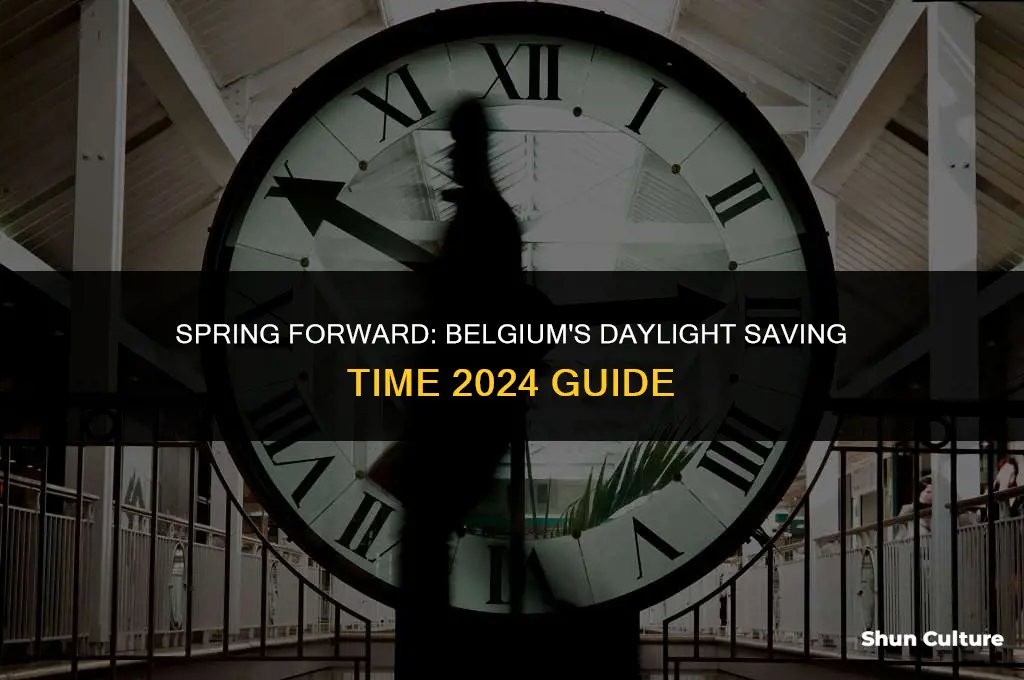 when is daylight savings in belgium