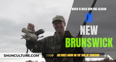 Duck Hunting Season in New Brunswick