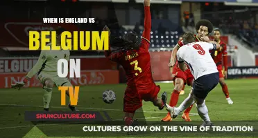 England vs Belgium: TV Schedule and Match Preview