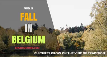 Autumn's Arrival in Belgium: A Guide to the Season's Start