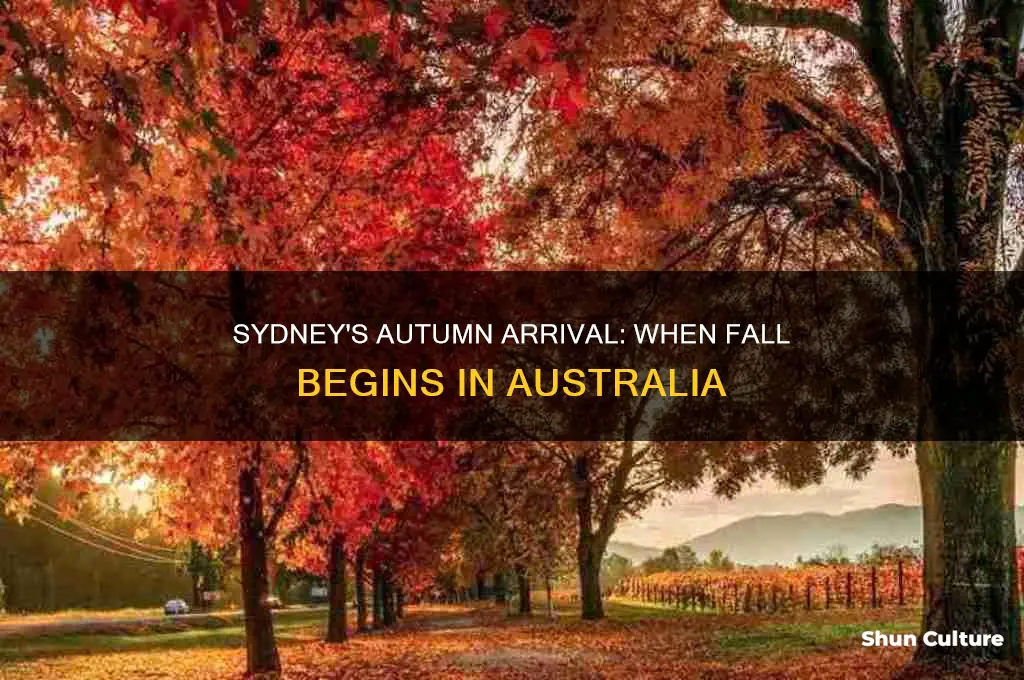 when is fall in sydney australia