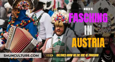 Austria's Fasching: A Guide to the Carnival Season