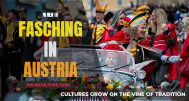 Austria's Fasching: A Carnival Extravaganza in February