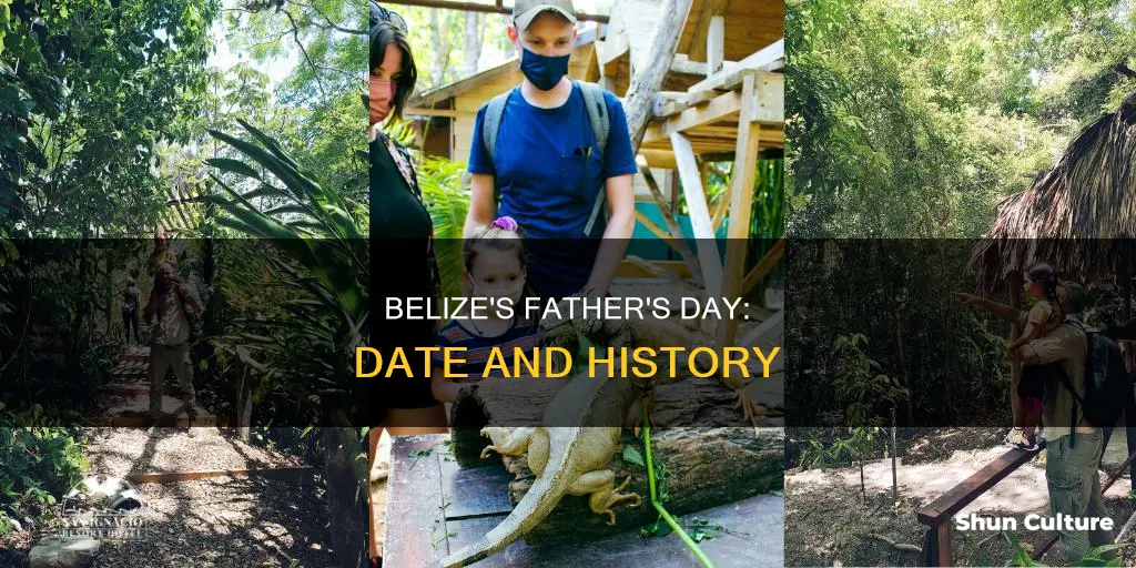 when is fathers day in belize