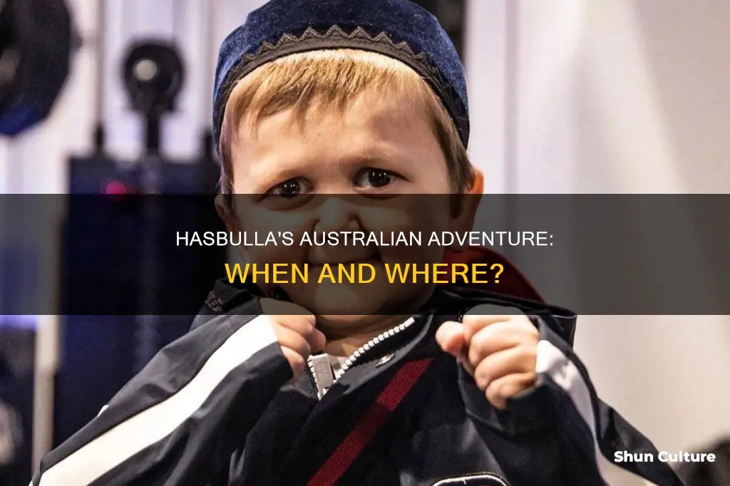 when is hasbulla coming to australia