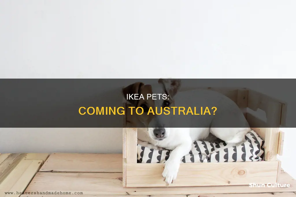 when is ikea pets coming to australia