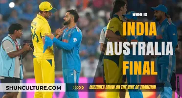 Who Will Win the India-Australia Final?