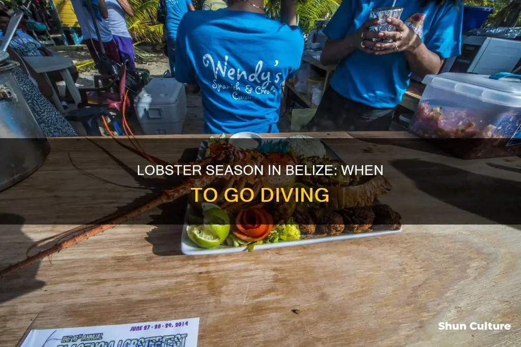 when is lobster season in belize