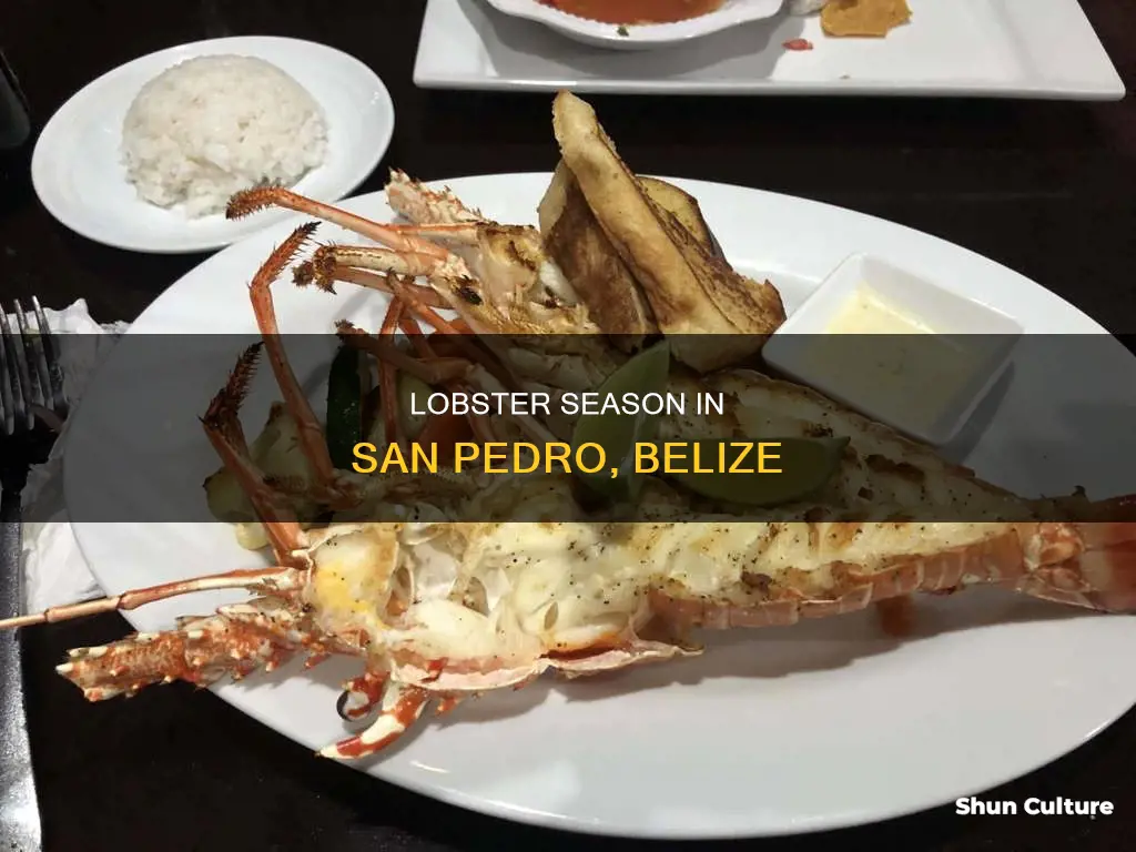 when is lobster season in san pedro belize