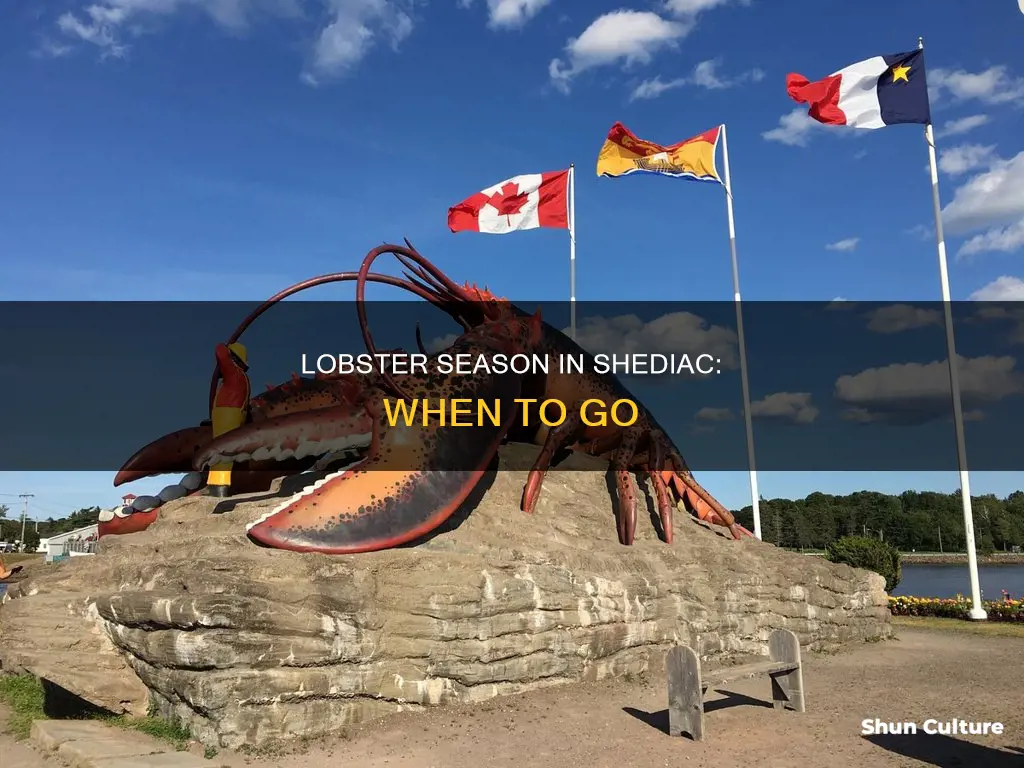 when is lobster season in shediac new brunswick