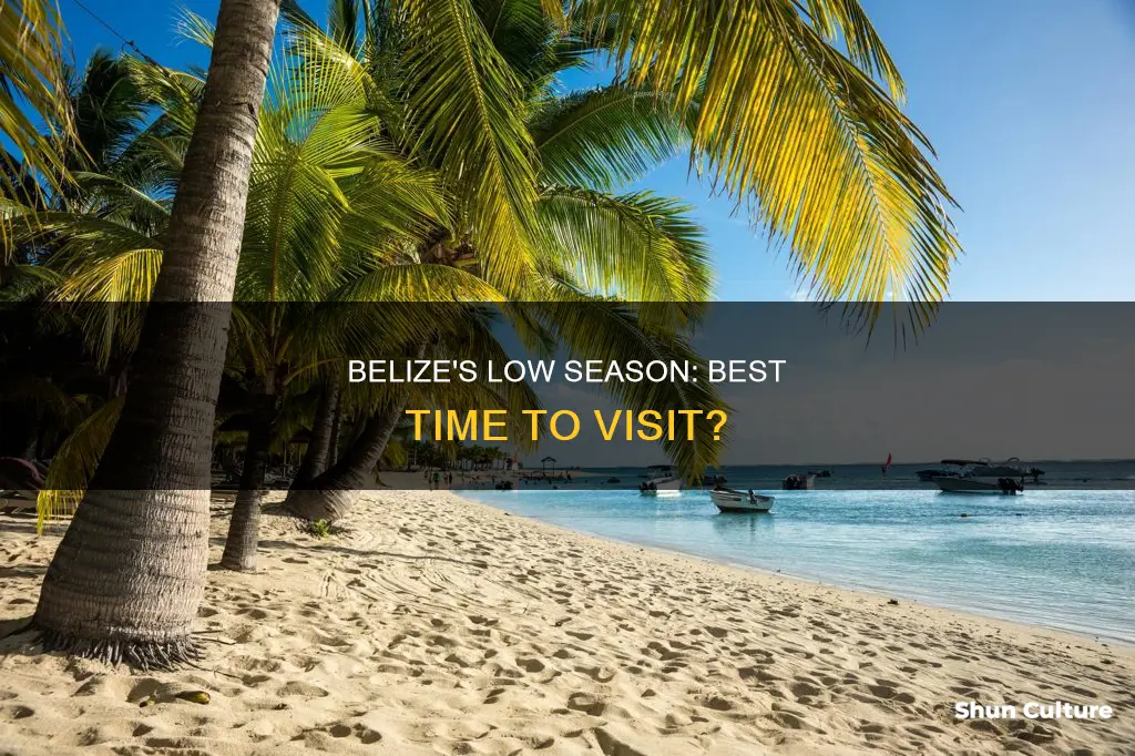 when is low season in belize