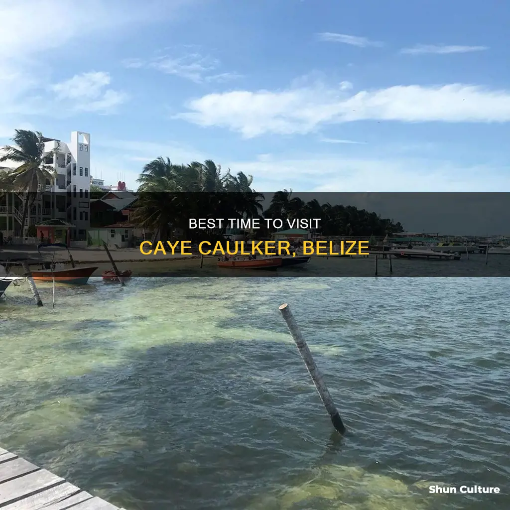 when is low season on caye caulker belize