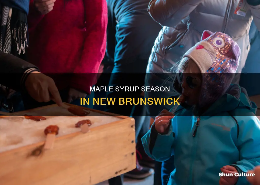 when is maple syrup season in new brunswick